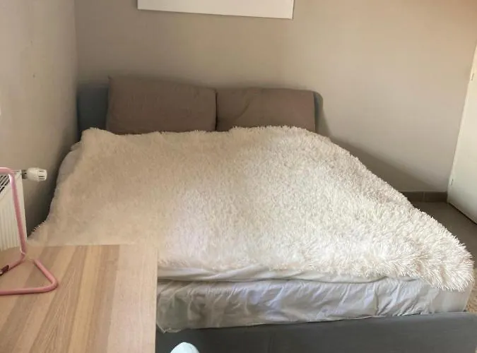 The Cocoon
