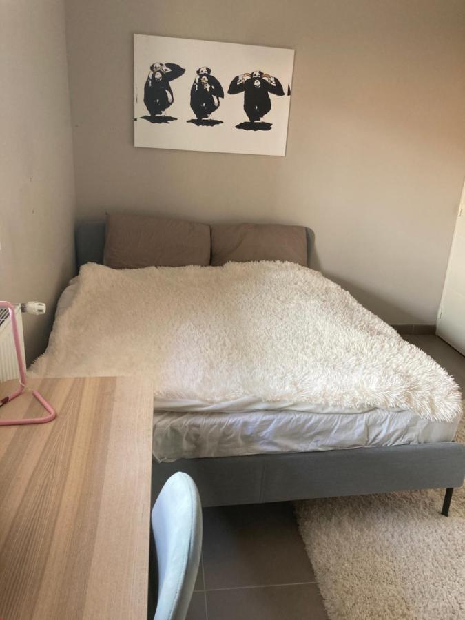 The Cocoon Apartment *